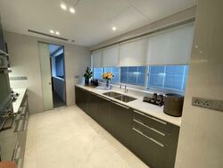 St. Regis Residences (D10), Apartment #507675471